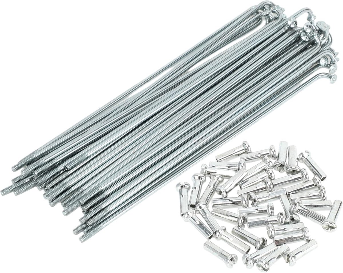 Fiets Spaken Set van 14G 114mm Lengte in Zilver Tone van Koolstofstaal Gegalvaniseerd voor Duurzaam Fietsen