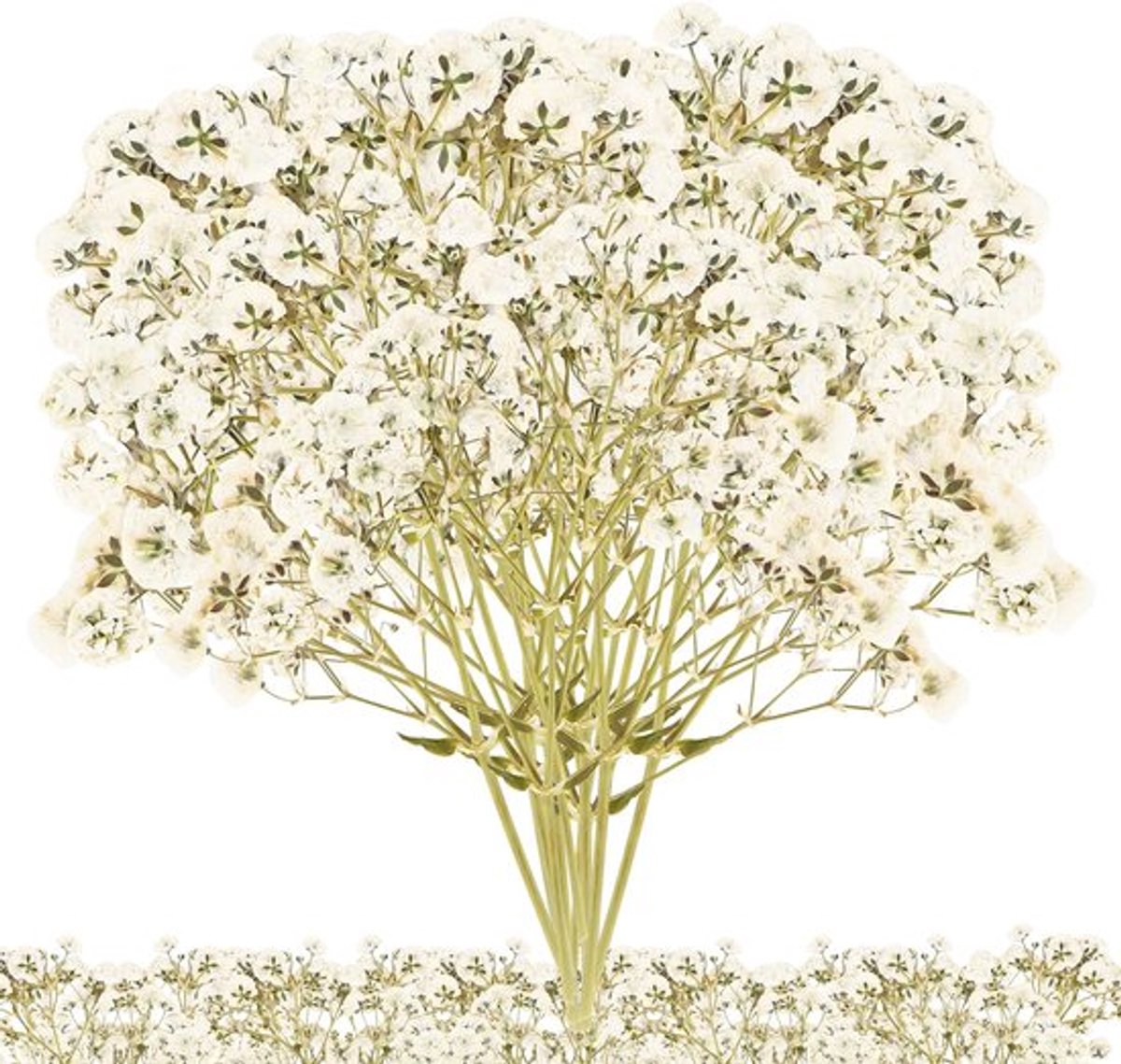 Gedroogde bloemen - Mini-gypsophila-boeket - Natuurlijke schoonheid - 100 stuks - Perfect 