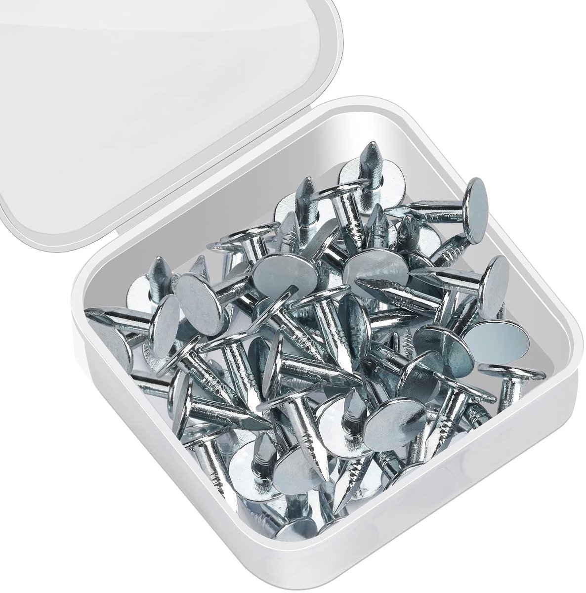 Dailygoods - 100 Stuks Viltspijkers voor Dakbedekking - Gegalvaniseerde Spijkers voor Buiten