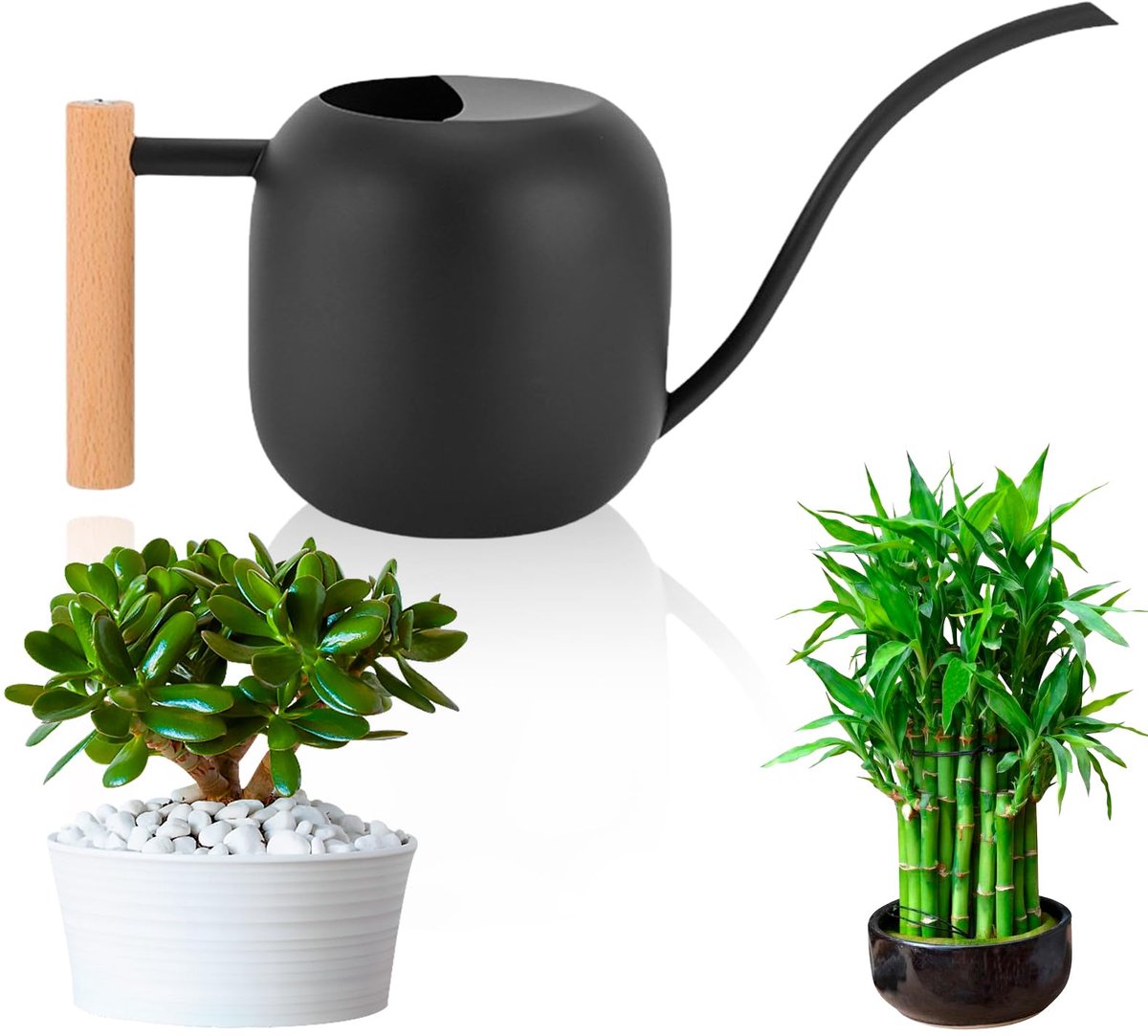 Dailygoods - Mini Gieter 1.2L met Lange Tuit voor Binnenplanten