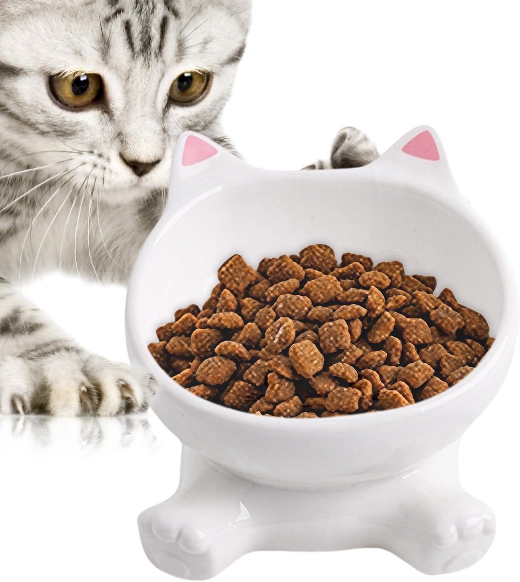 Katten voerbak - Huisdier schaal - Comfortabel voeren - Verhoogd en gekanteld - 17 x 16 x 13.5 cm - Roze