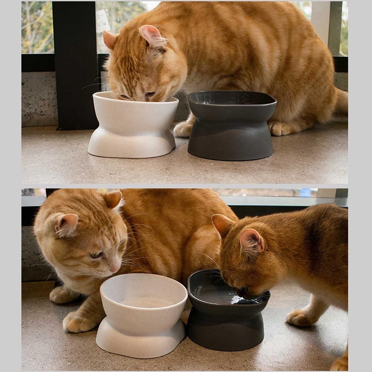 Verhoogde voer- en waterbakken voor katten en kleine honden, ergonomisch ontwerp, antislip, gemakkelijk schoon te maken