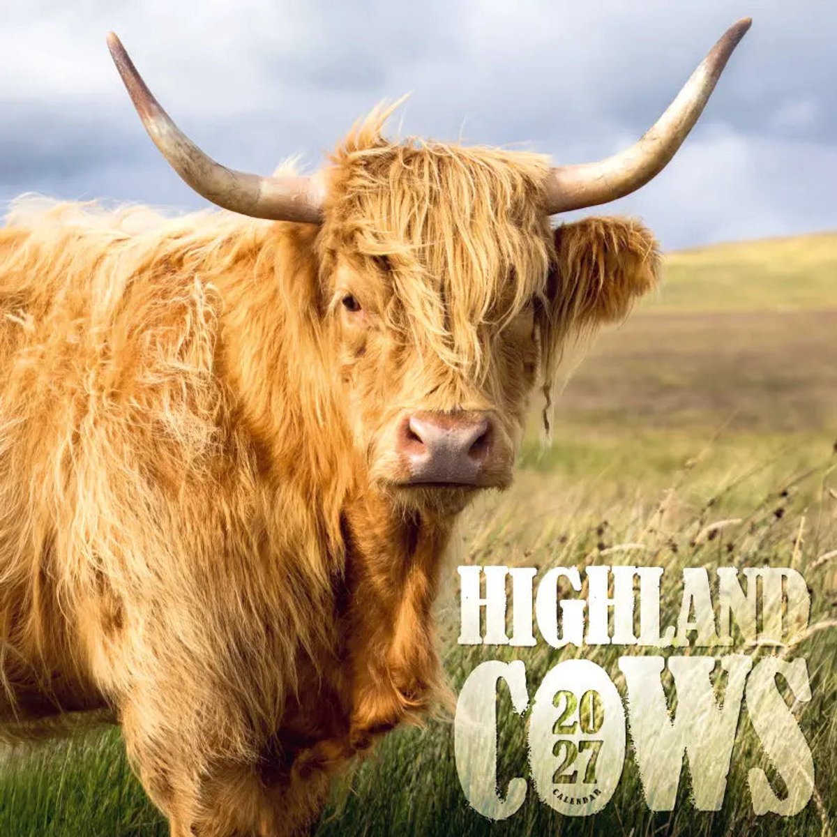 Schotse Hooglanders Kalender 2027