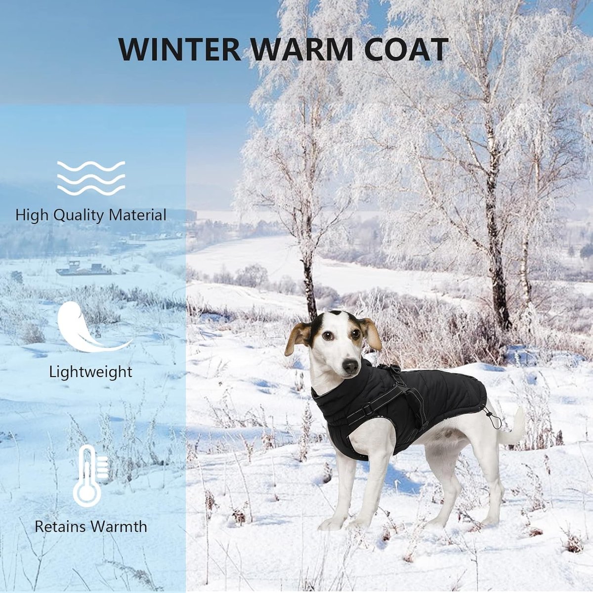 Warm Winter Jacket voor Honden - Waterdichte Buitenkleding met Harnas en Leash voor Kleine en Middelgrote Honden - Zwart - M/L