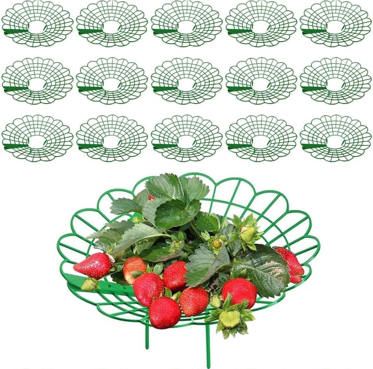 15 stuks aardbeiensteunstandaard voor optimale groei, bescherming tegen rot en schimmel, ideaal voor tuin en balkon