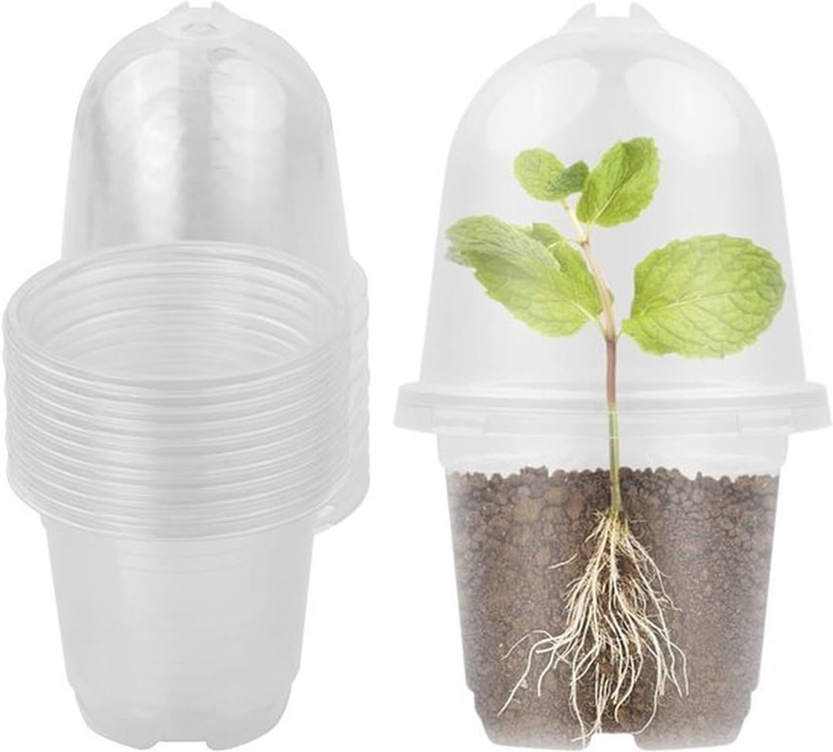 Transparante plastic potten-set met 10 kweekpotten en 10 vochtige doms voor zaden, zaailingen, succulenten en snijbloemen