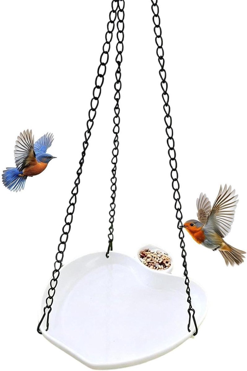 Vogelbad Voederschaal - Dieren Drinkschaal Buiten - Vogels Voeren Baden - Weerbestendig Materiaal - 22 x 22 x 3 cm