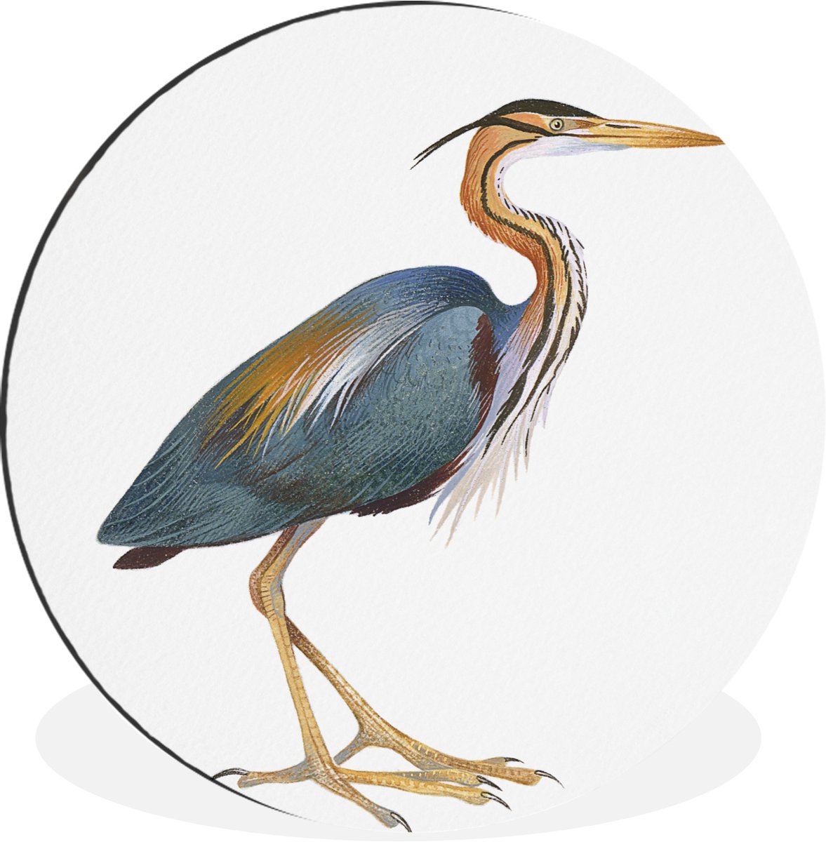 WallCircle - Wandcirkel - Muurcirkel - Vogel - Veren - Waterverf - Aluminium - Dibond - 90x90 cm - Binnen en Buiten