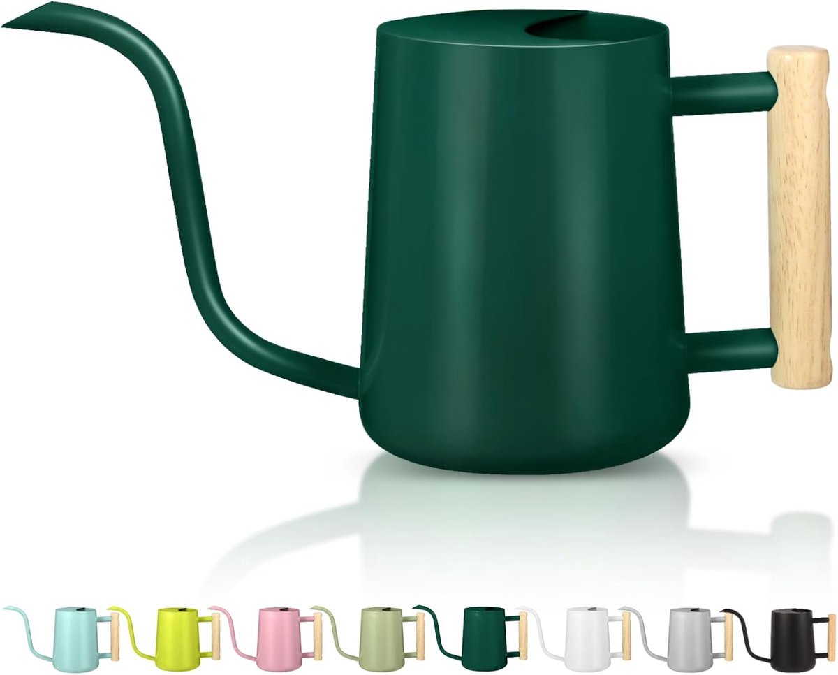 Gieter kamerplanten, 1 liter gieter kleine indoor gieter metaal roestvrij staal moderne decoratieve gieter met lange uitloop voor huis plant bonsai outdoor tuin bloemen (Alpengroen)