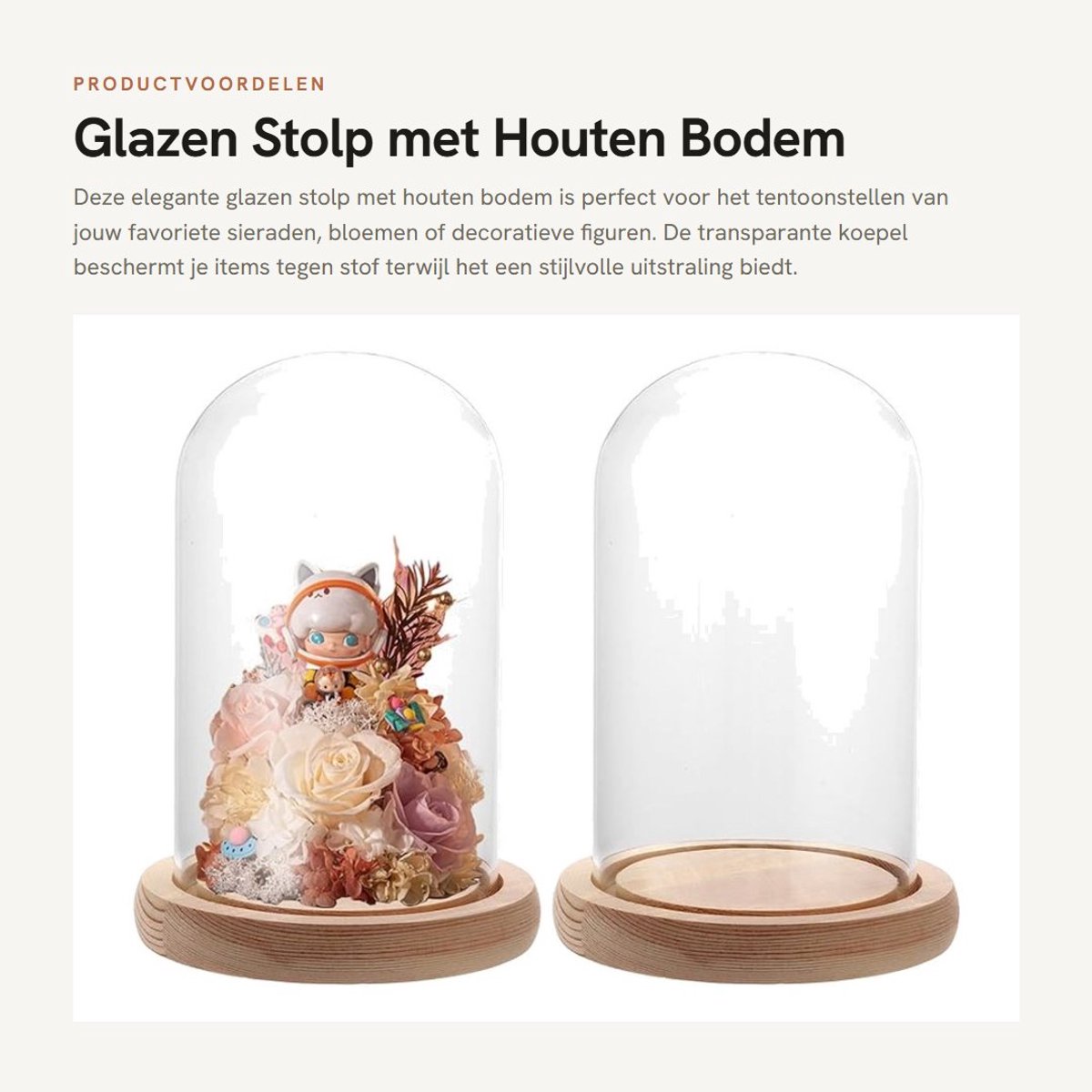 Dailygoods- Glazen Stolp - Houten Bodem - 15 cm Hoog - Decoratie - Vitrine - Transparant - 2 x Glazen Koepel - Glazen Bel