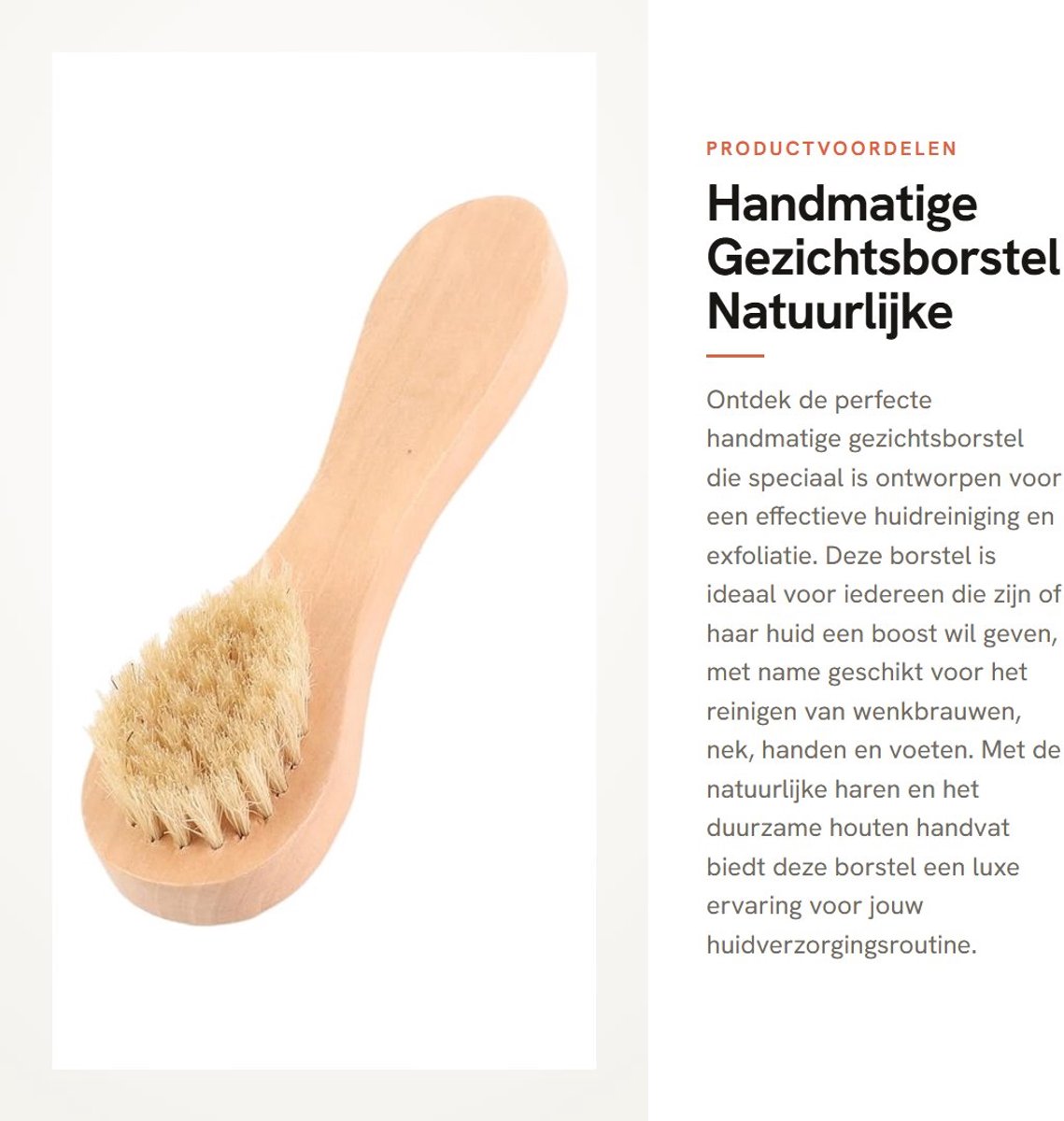Dailygoods- Gezichtsborstel Natuurlijke Haren - Houten Handvat - Exfoliërend - Ergonomisch Ontwerp - Masseren en Bloedsomloop Bevorderen - Duurzaam Gebruik - Reinigingsborstel