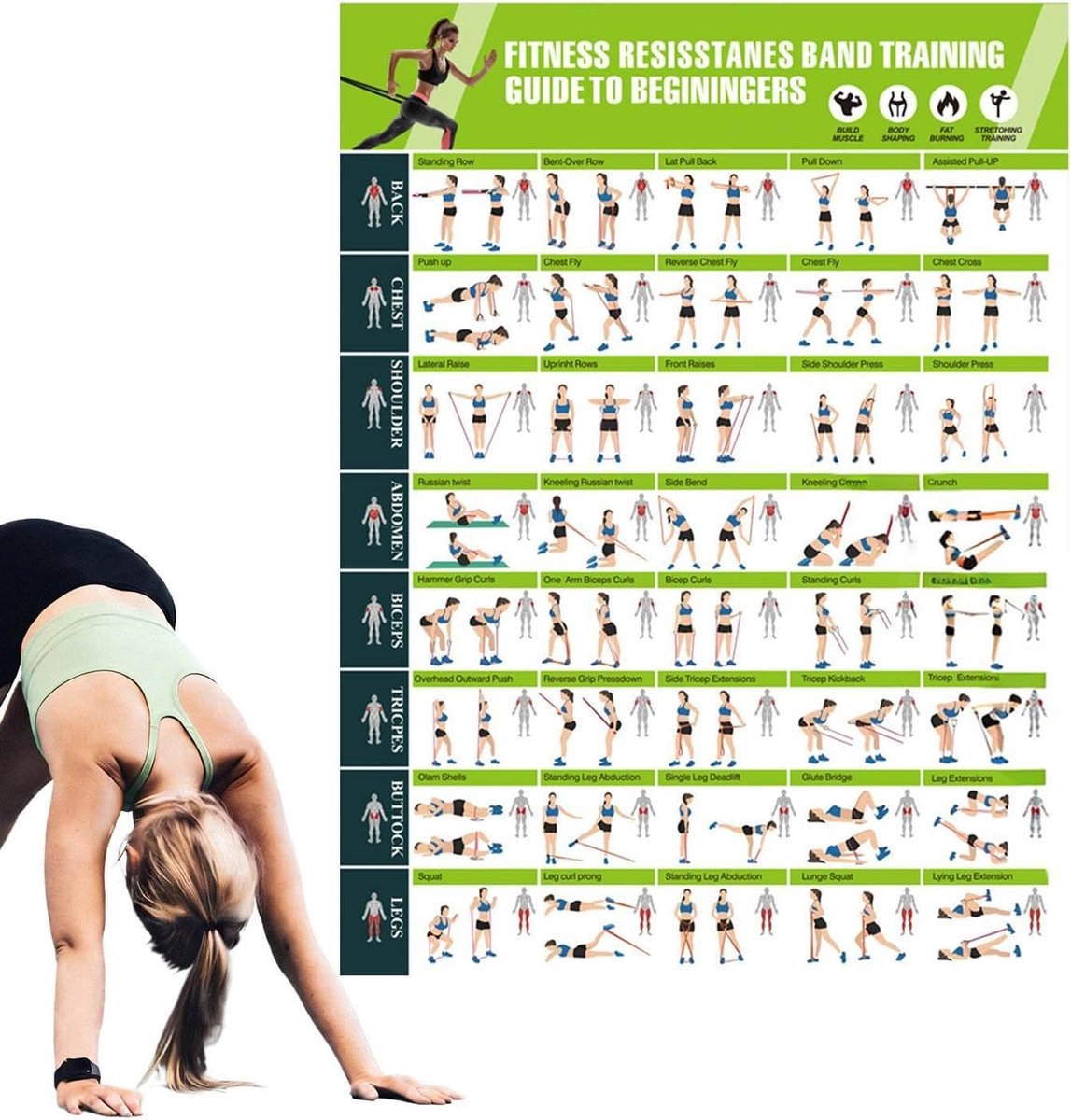 Fitness Posters - Oefeningen Gids - Spieropbouw - Gedetailleerde Illustraties - 42.8 x 57.4 cm - Meerdere Kleuren