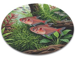 Ronde muismat - Aquarium met Rode Minor Tetra (Hyphessobrycon eques)