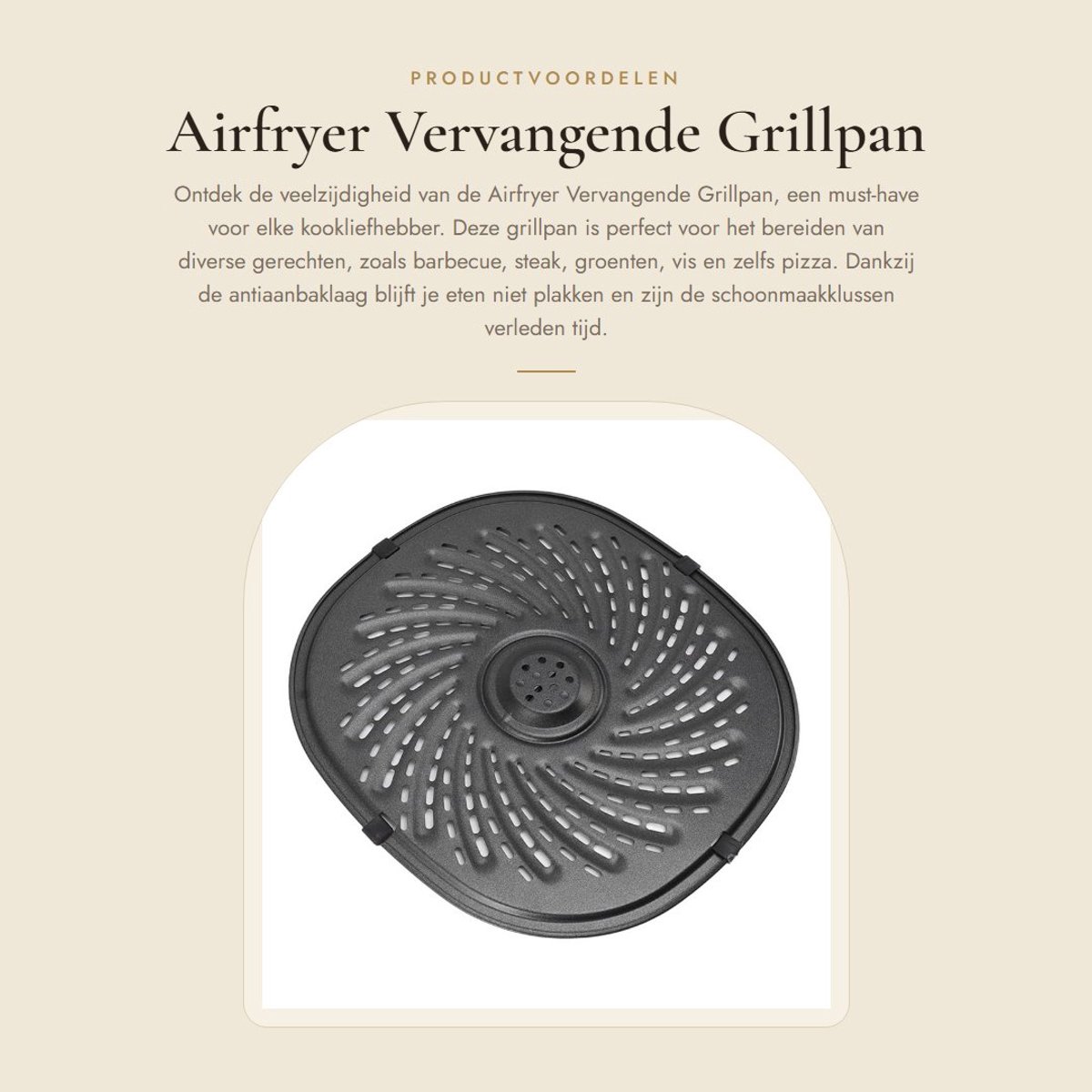 Solidchoice- Grillpan Roestvrij Staal - Antiaanbaklaag - Vaatwasmachinebestendig - Friteuse Grillpan - Geschikt voor Barbecue/Steak - Inclusief Olieborstel/Siliconen Pad - Frituurpan