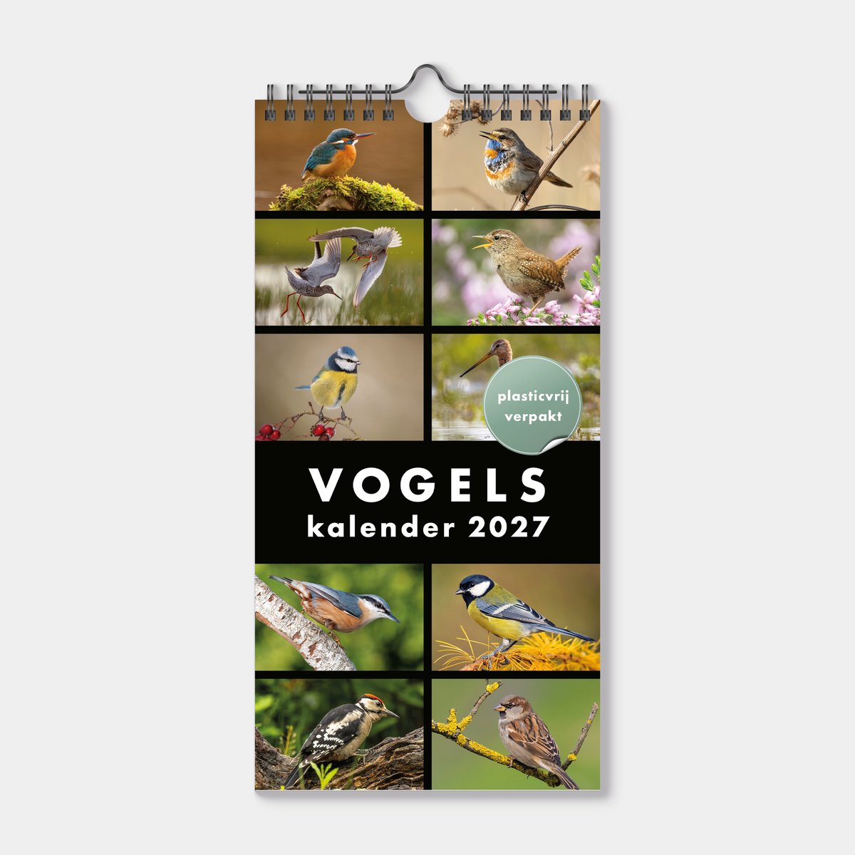 Hobbit - Minikalender 2027 - Maandplanner - 30x15cm - Vogels