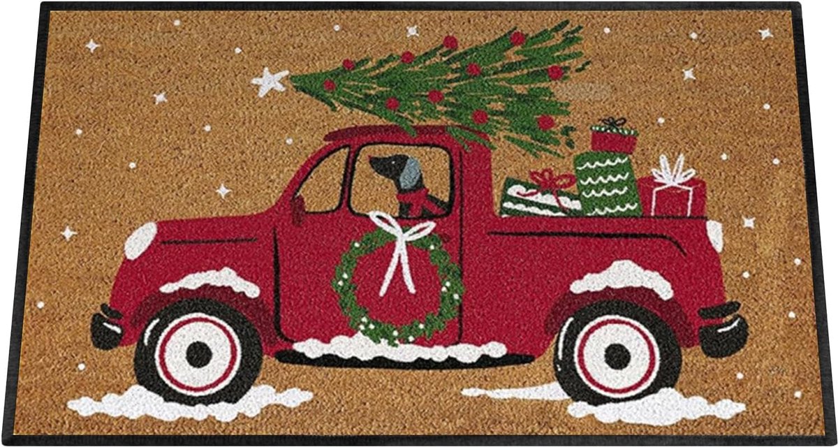 Voordeurmat - Entree tapijt - Feestelijke ontvangst - Antislip achterkant - 60x40cm - Meer