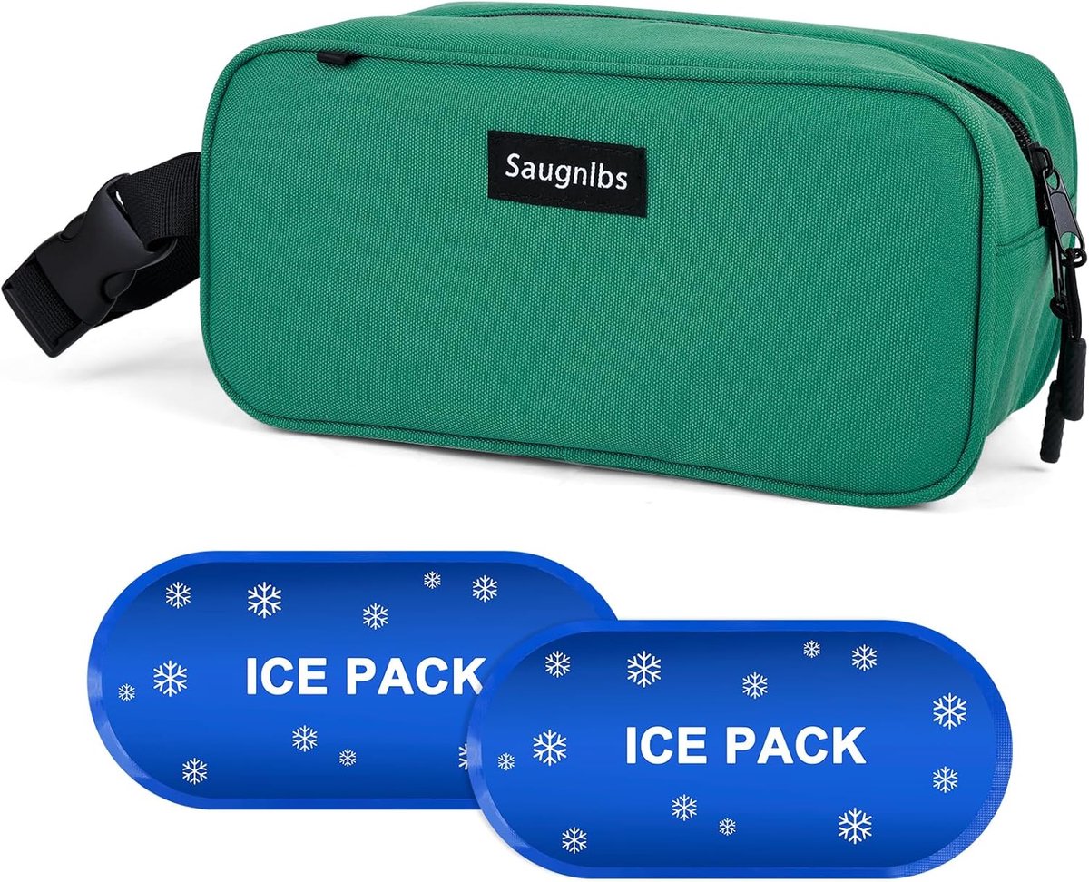 SnelShoppen - Small Cooler Bag Mini Koeltas met Koelelementen, Geïsoleerde Lunchtas met Handgreep, Vrijzbare Koeltas voor Reizen/ Werk/ School/ Buiten