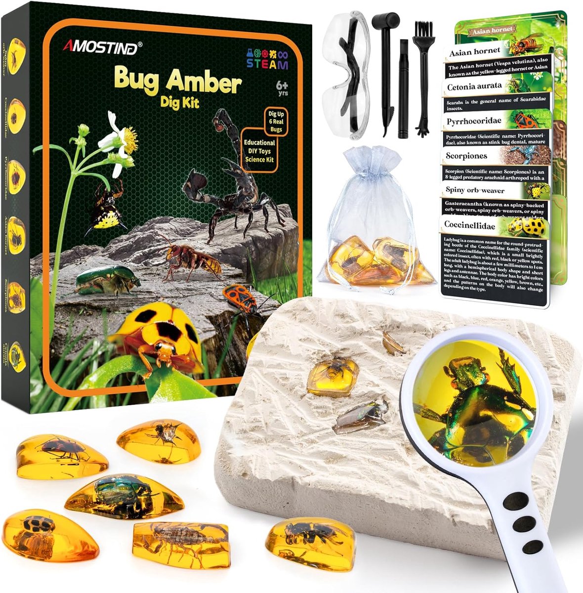 SnelShoppen - Amost Amber Excavation Set - Educatief Speelgoed voor Kinderen 6-12 Jaar - 6 Insecten in Hars - Geologie en Biologie - Wetenschap Set
