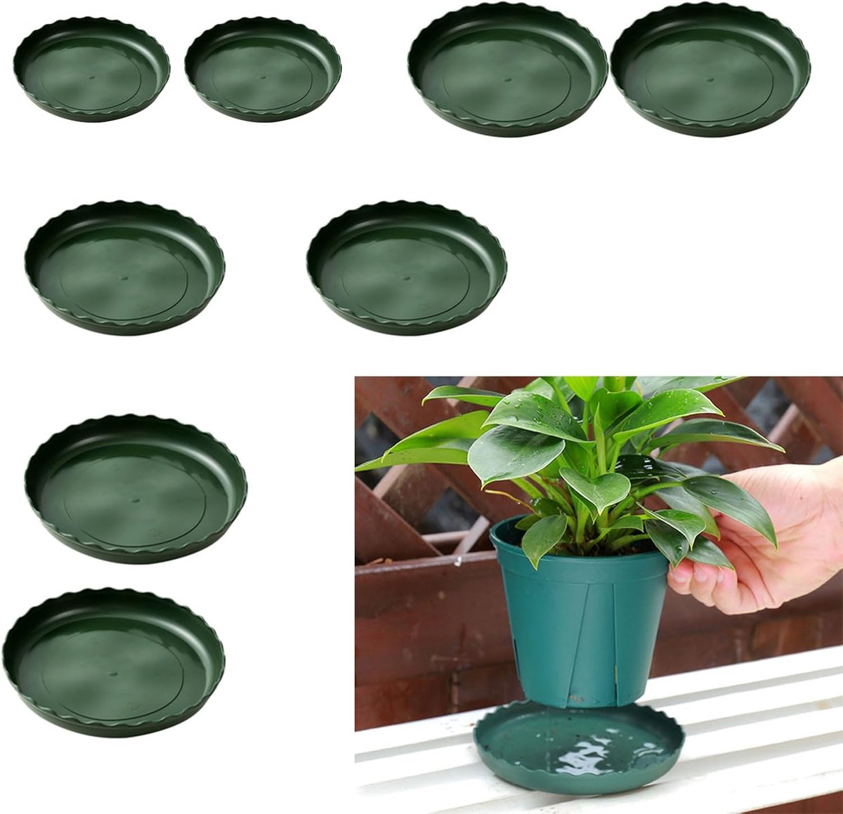 SnelShoppen - Set van 8 Bloempot Onderzetters, Onderzetters voor Planten in 4 Maten (12 cm, 14 cm, 16 cm, 18 cm), Kunststof, Groen, Ideaal voor Thuis