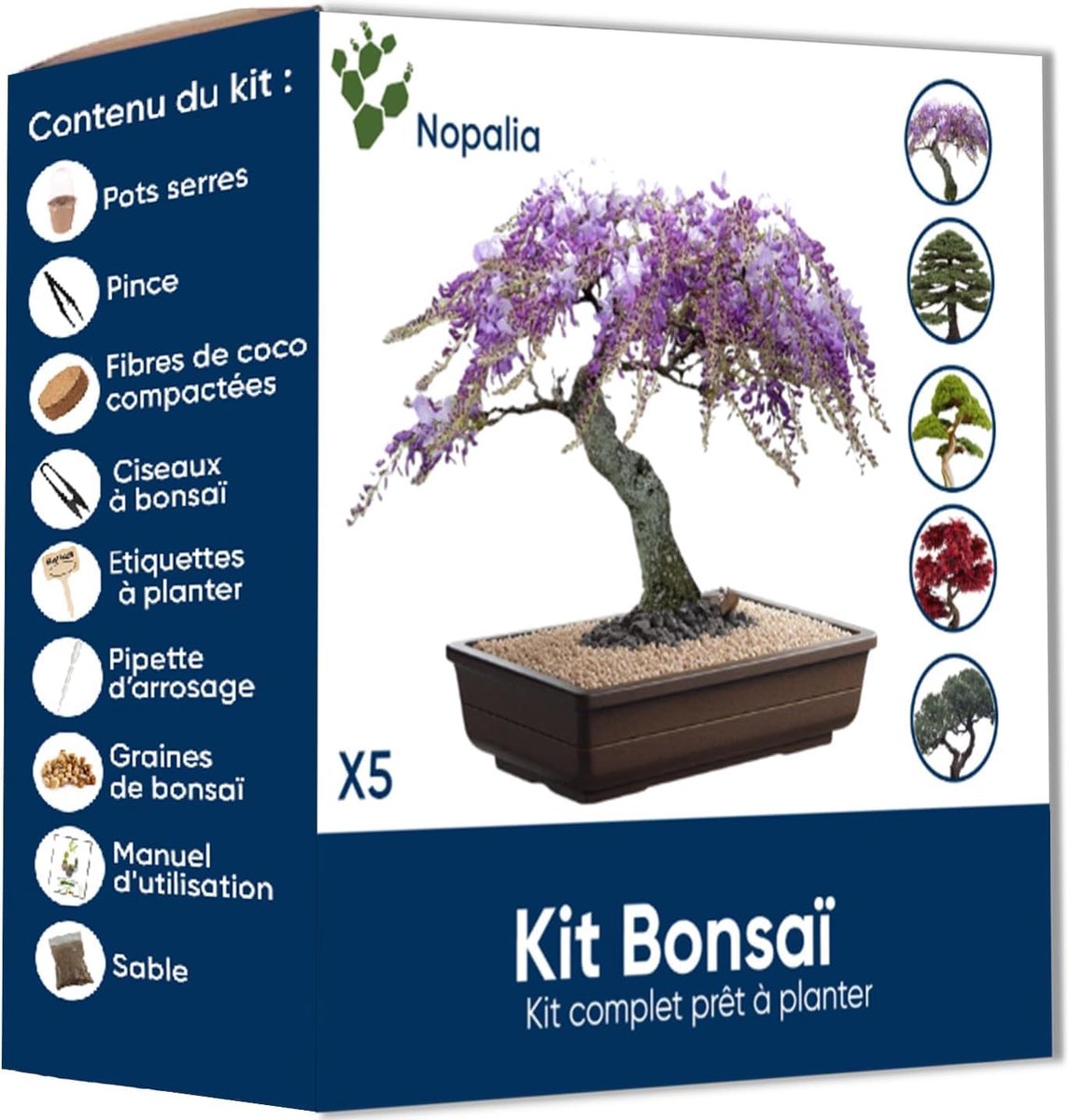 SnelShoppen - NOPALIA Bonsai set - Mini binnenplantset met bonsai zaden - Groei je eigen bonsai - Perfect cadeau voor mannen, vrouwen en kinderen - Or