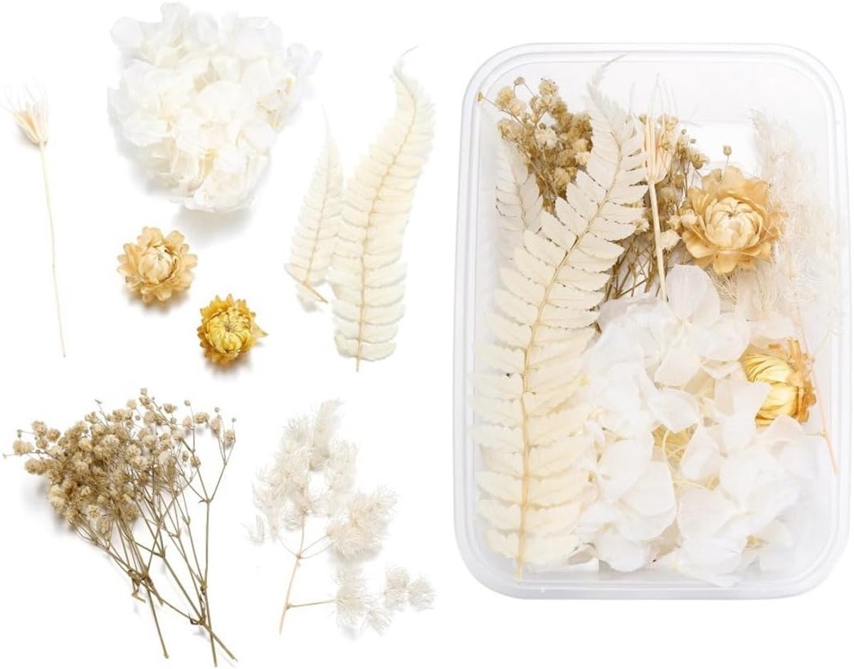 Natuurlijke Gedroogde Bloemen voor DIY Projecten, Sieraden, Kaarsen en Scrapbooking Decoratie