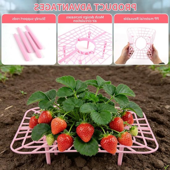 Stevige Aardbeiensteun met 4 Stabiliteitsbenen, Groeiraam voor Aardbeien, Voorkom Aardbeienrot, 12 Stuks (12) — afbeelding 2