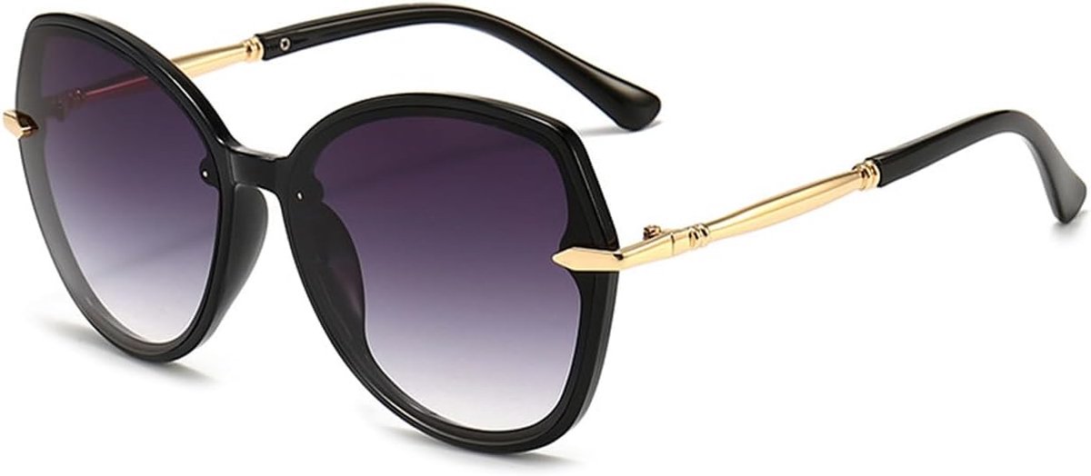 Women's Polarised Retro Sunglasses Visual Accessories Large Glasses with Carry Bag and Strap - ShopVlot
