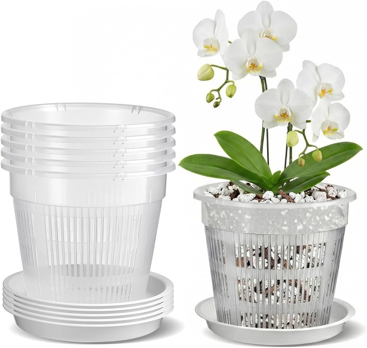 Set of 5 Transparent Orchid Pot, 14cm Breathable Orchid Pot, Transparent Plant with Drainage Holes and Saucers for - ShopVlot