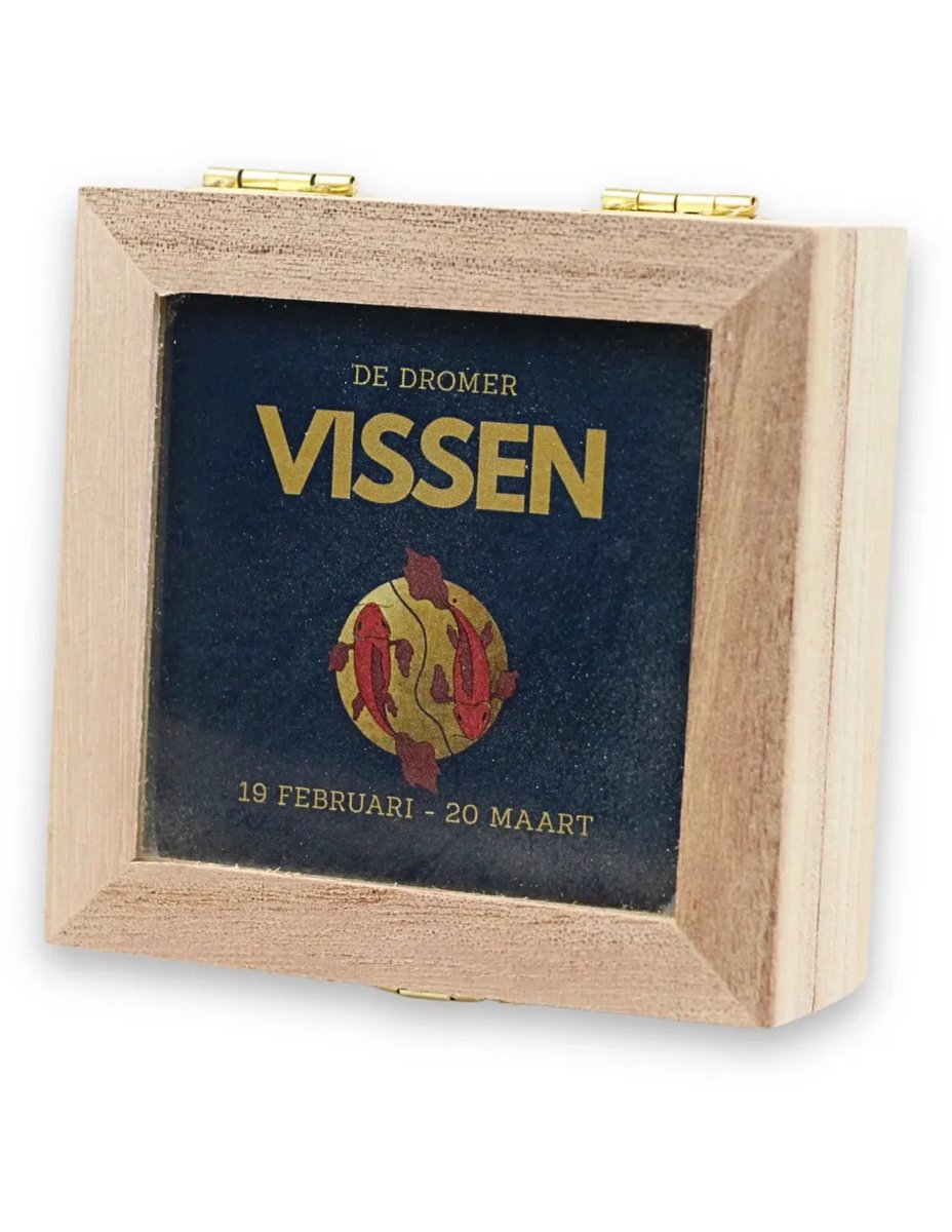 Sterrenbeeld trommelsteen setje - VISSEN