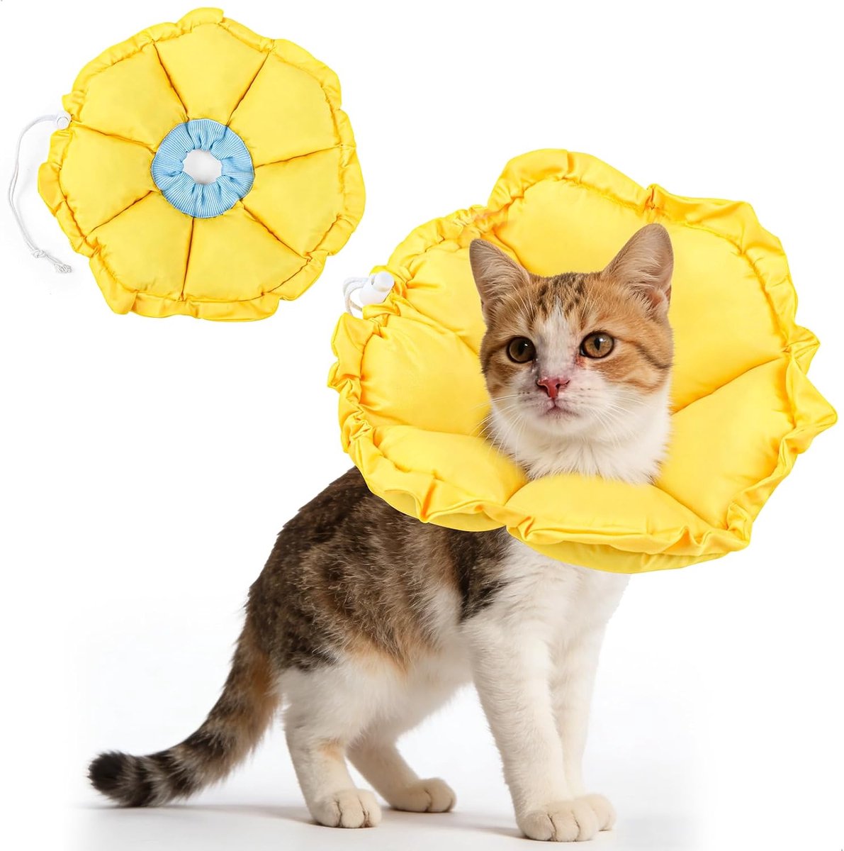 Kattenhalsband M - Waterdichte nekband - Verstelbaar - Ideaal voor herstel na operatie - ShopVlot