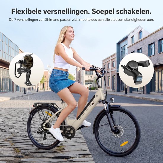 Touroll J2 ST Elektrische Fiets 250W 45Nm Accu 561.6Wh 100km 7 Versnellingen Shimano Bagagedrager Lage Instap Grijs van Touroll — afbeelding 3