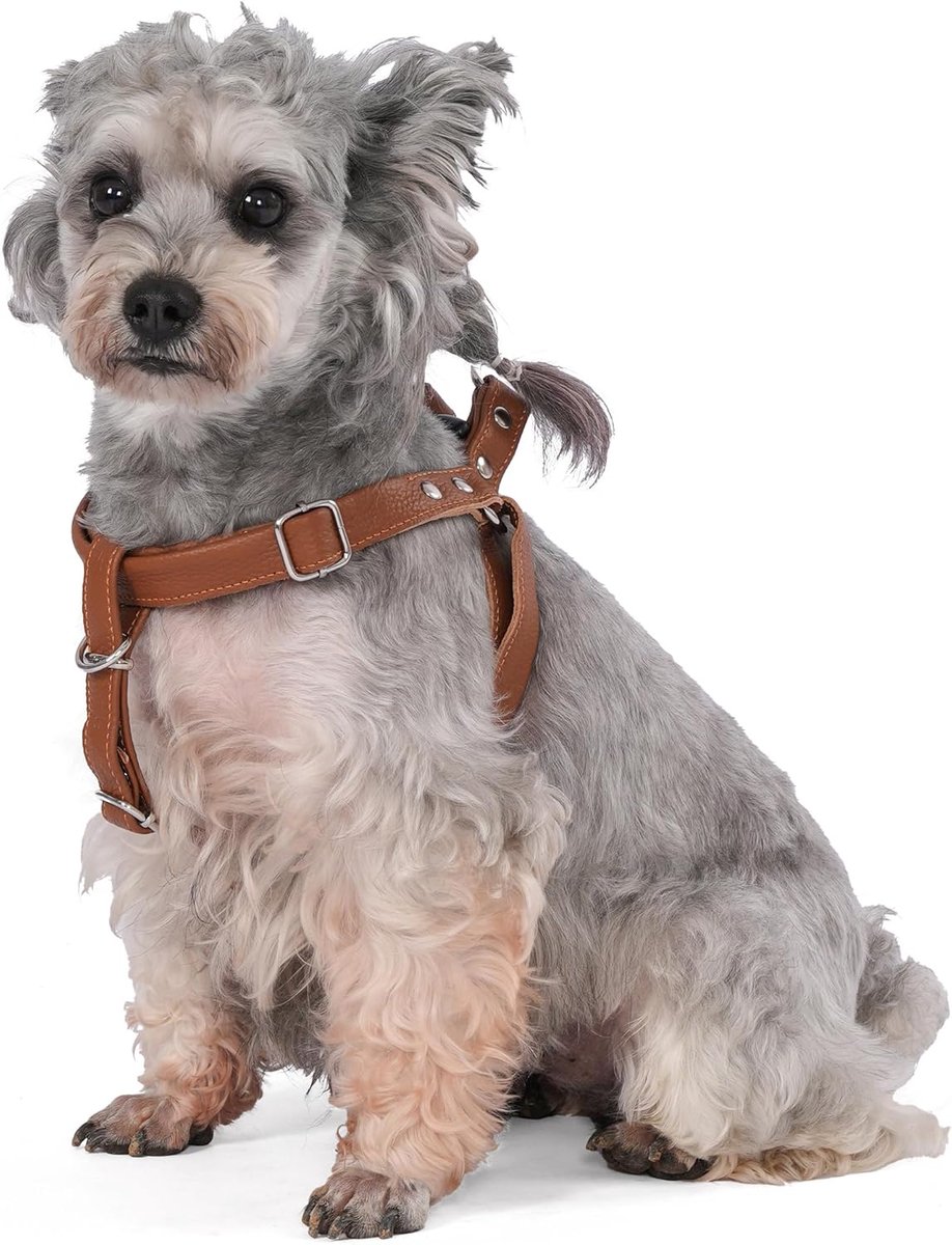 SnelShoppen - Hondentuigje Leer Zacht Verstelbaar Borstharnas voor Kleine, Middelgrote en Grote Honden - Noors Huisdier - M - Bruin - Comfortabel en V
