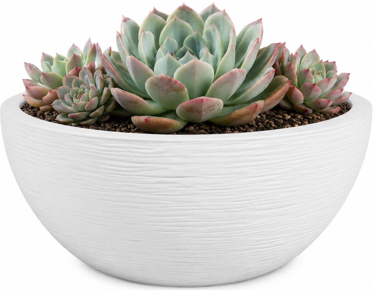 EDA Bloempot / plantenpot schaal Graphit - rond - kunststof - creme wit - D25 x H11 cm