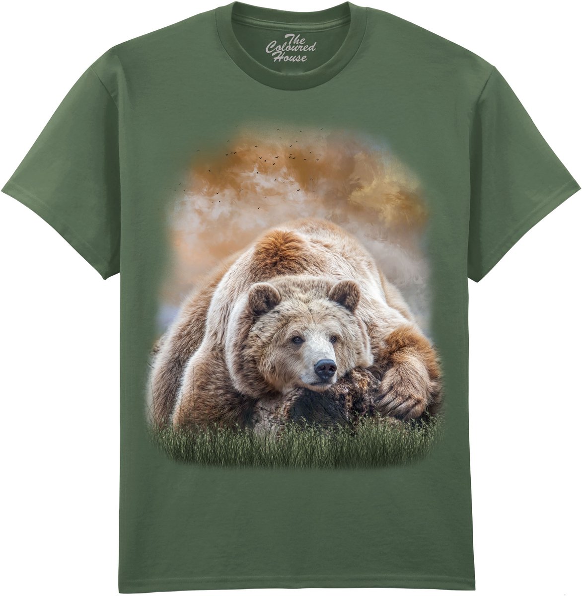 Beer Bearly Awake The Coloured House T-shirt M