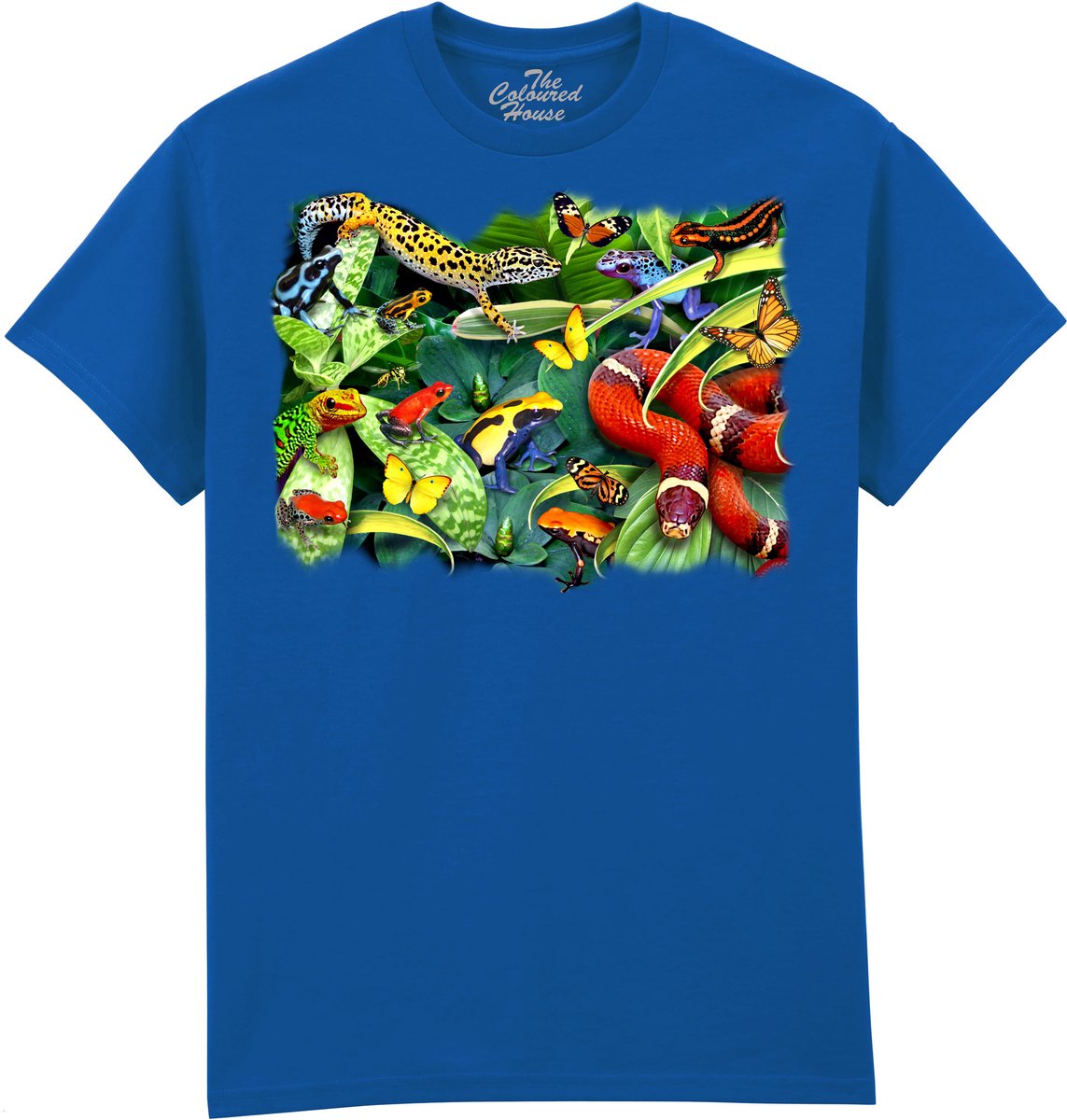 Kikkers Gecko Slang Jumpers And Crawlers The Coloured House T-shirt 5XL