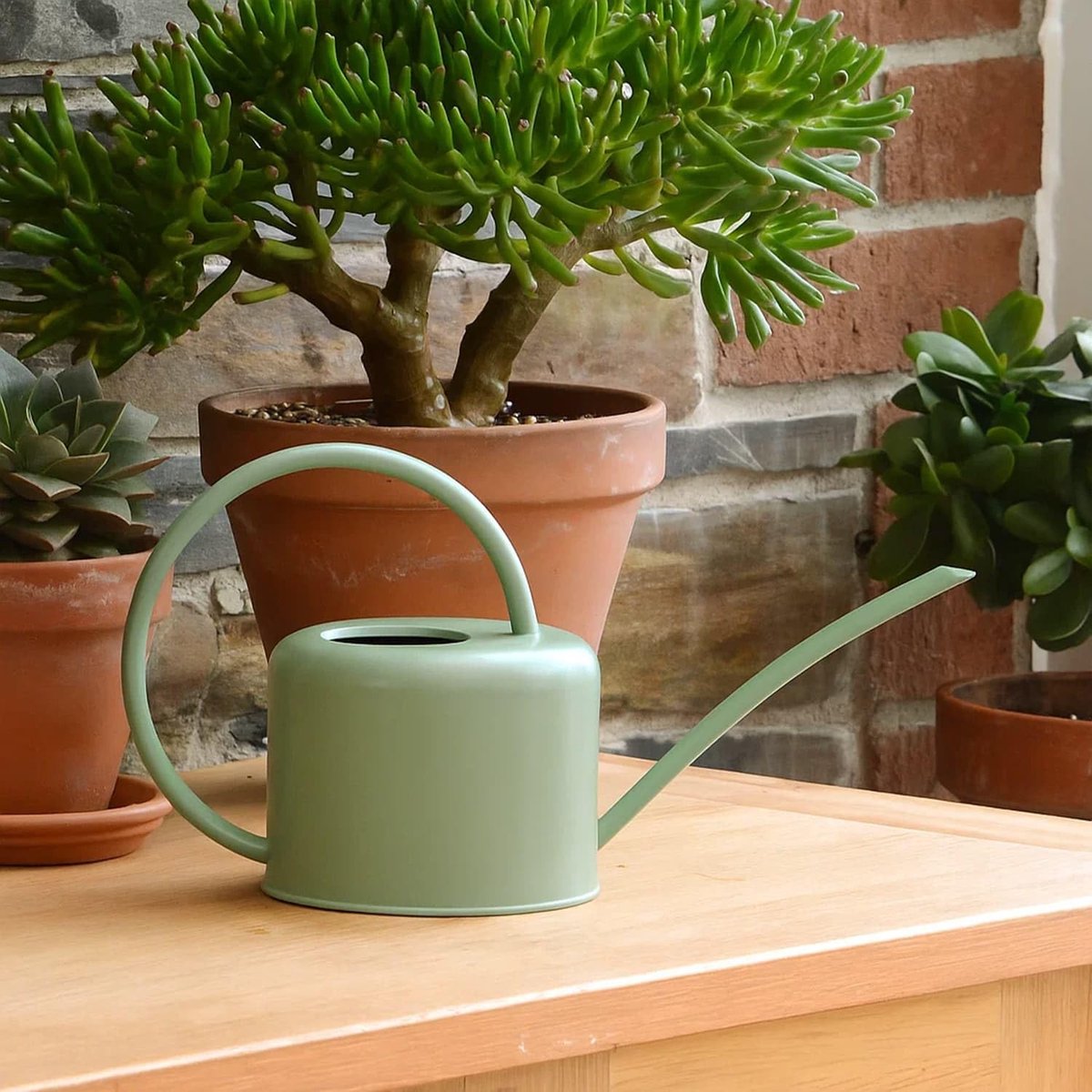 Famanu – Kleine indoor gieter van 1,1 l in saliegroen, gegalvaniseerd gepoedercoat staal, voor kamerplanten met smalle tuit en hoog handvat