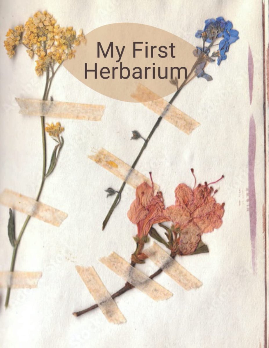 My First Herbarium: Beautiful notebook for collecting and storing pressed and dried flowers and plant leaves. Contains - ShopVlot