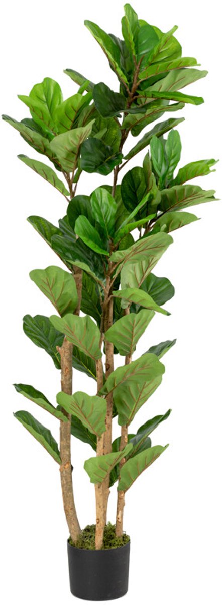 Kunstplant Fiddle ficus lyrata 150cm