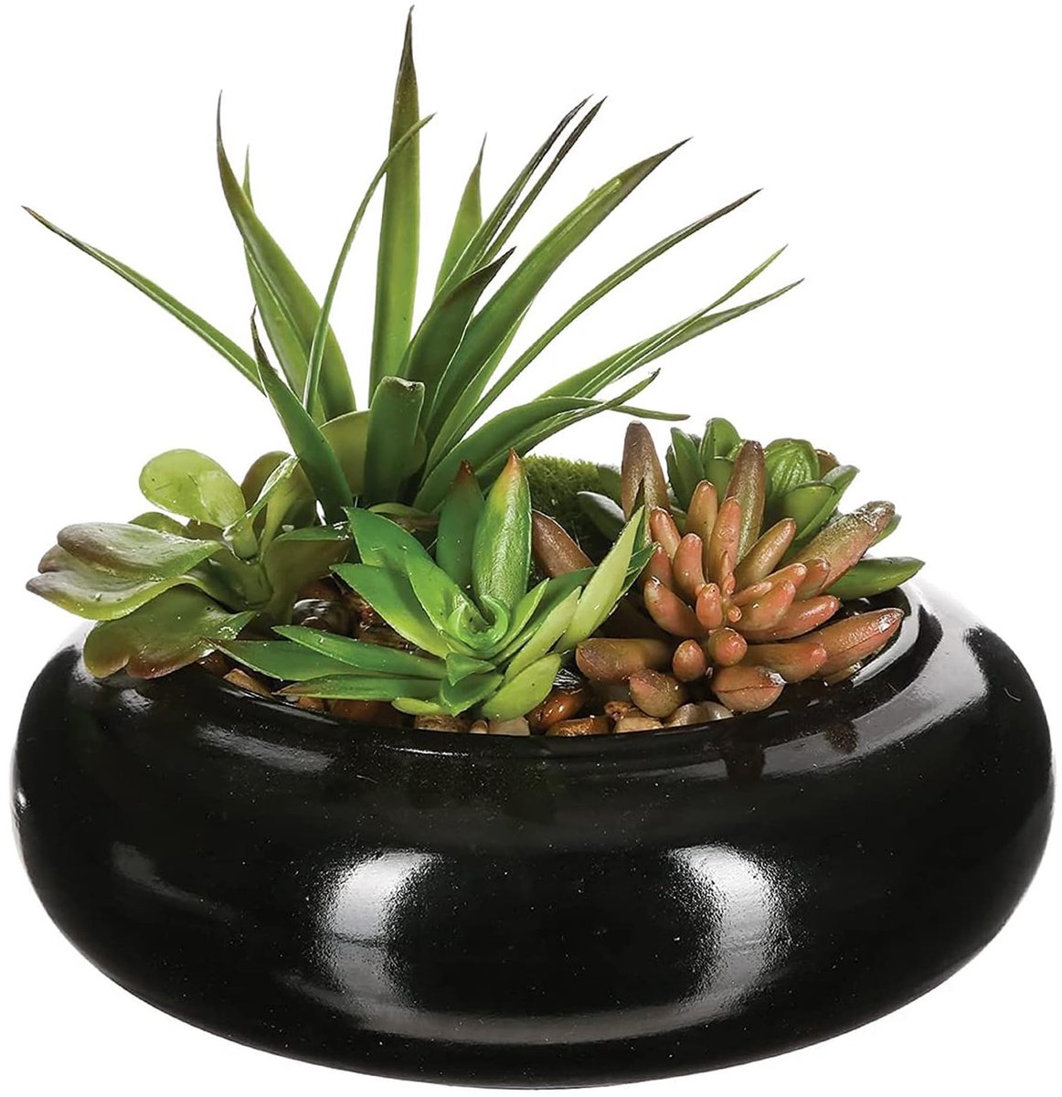 Plantencompositie in Ceramiek Vaasje - Voor Binnen en Buiten