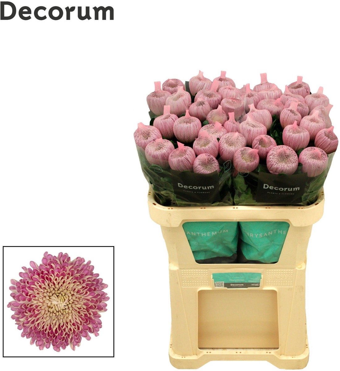 10x Chrysant couture g 70cm