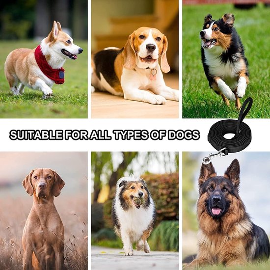 Hondenriem met één handvat - ideaal voor kleine en grote honden, 20 meter lang, sterk en comfortabel — afbeelding 4
