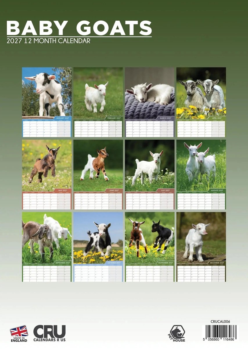 Baby Geiten A3 Kalender 2027