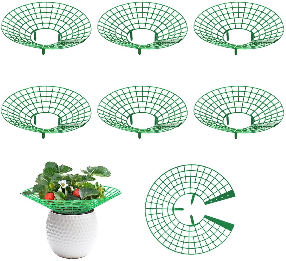 Elzusha - Aardbeienbeschermingsstandaard Set van 6