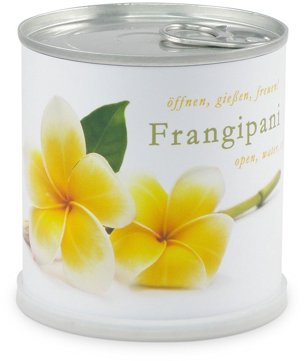 Elzusha - Plumeria Bloemen in Doos - Groeiset met Voedingsstoffen