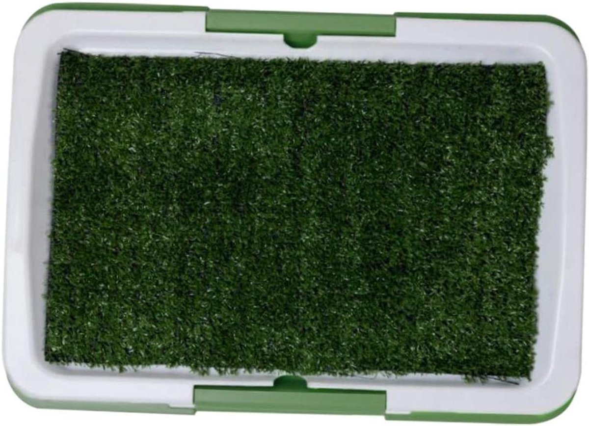 Honden Trainingsmat - Puppy Plasplek - Zindelijkheidstraining - Met Opvangbak - 46 x 34 cm - Groen