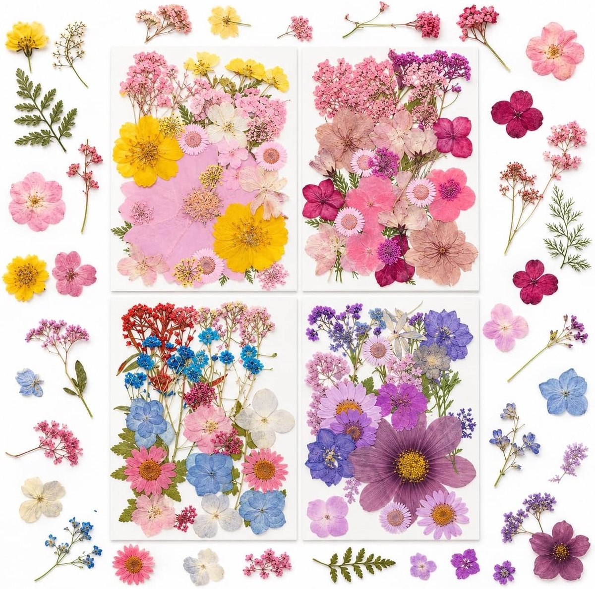 Getrockeerde Bloemen Set van 100 Stuks – Natuurlijke Gedroogde Bloemen voor Creatieve Projecten, Resin DIY, Sieraden en Decoratie, Kleurige Mix voor Knutselen en Scrapbooking