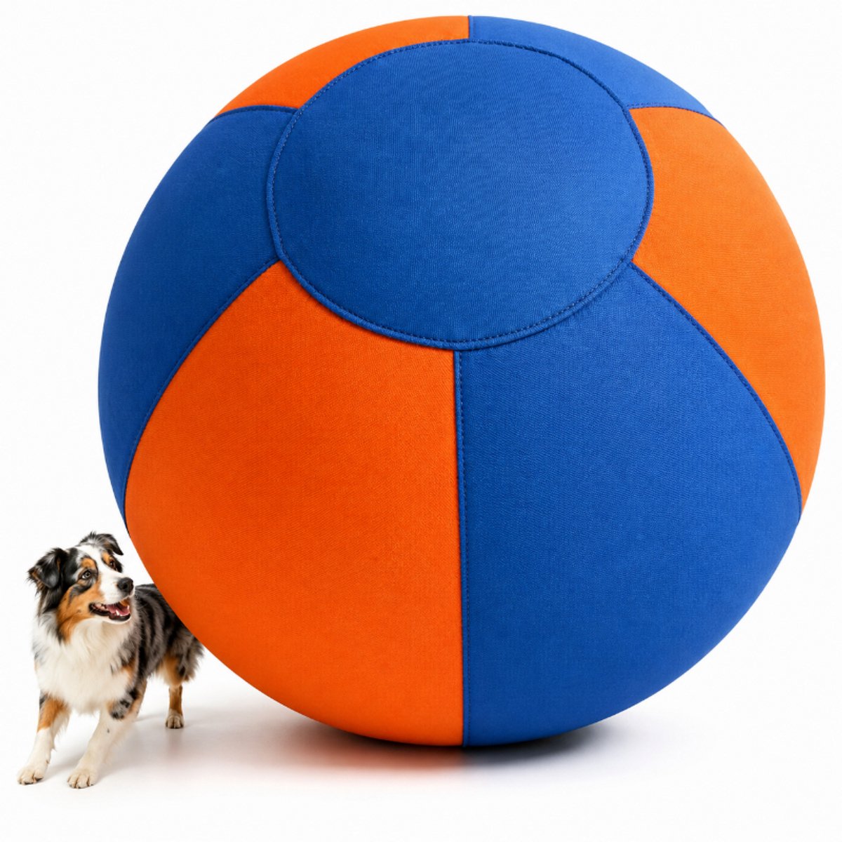Hondenspeelgoedbal - Trainingsbal - Herding Bal - 45cm - Met Ritssluiting, Pomp - Slijtvast, Scheurvast - Draagbaar - Voor Tuin, Weide, Erf Of Hondenterrein - Blauw