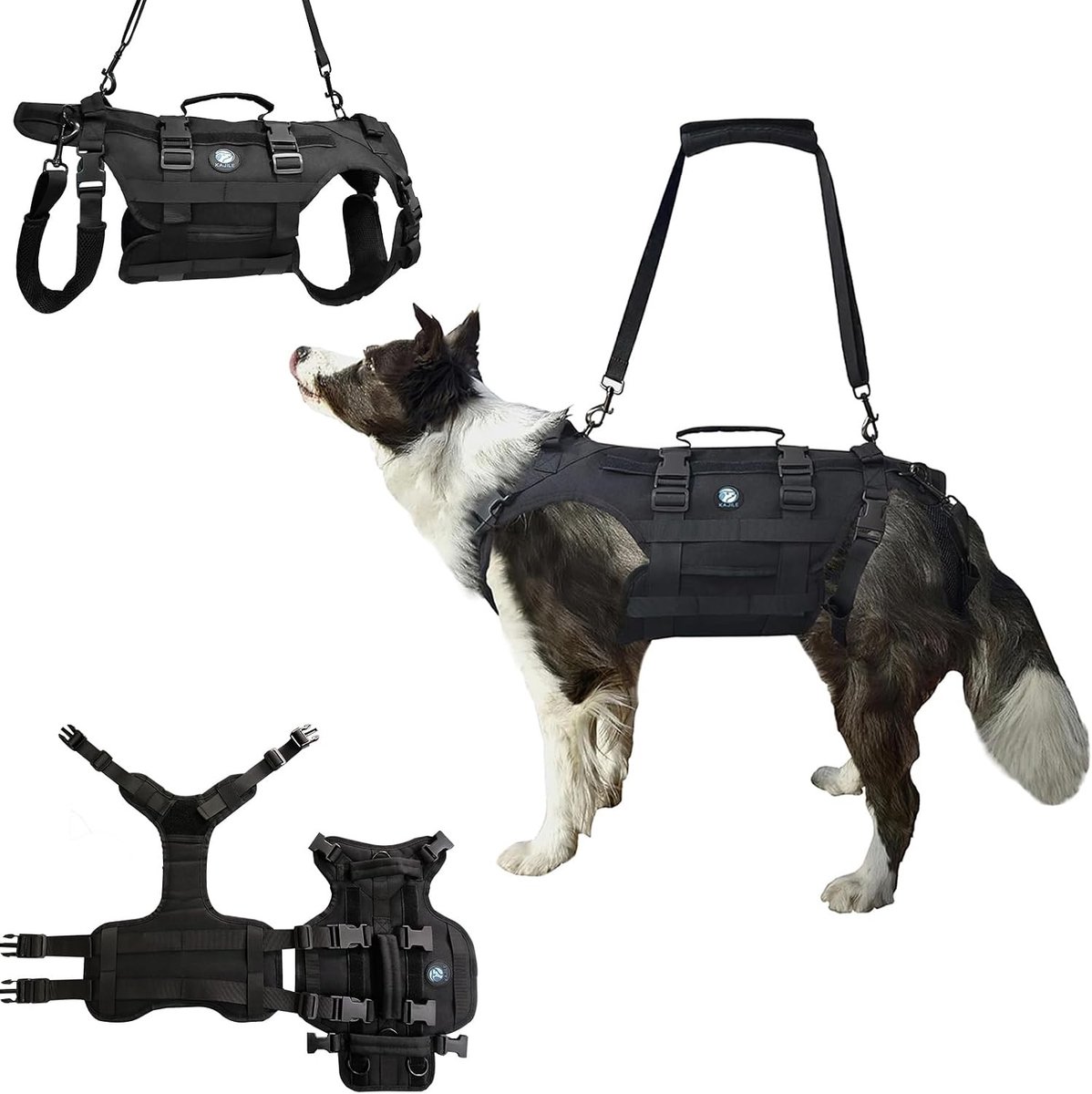Hondenharnas voor Actieve Honden, Volledig Verstelbaar, Zwart, Maat L, Duurzaam en Comfortabel