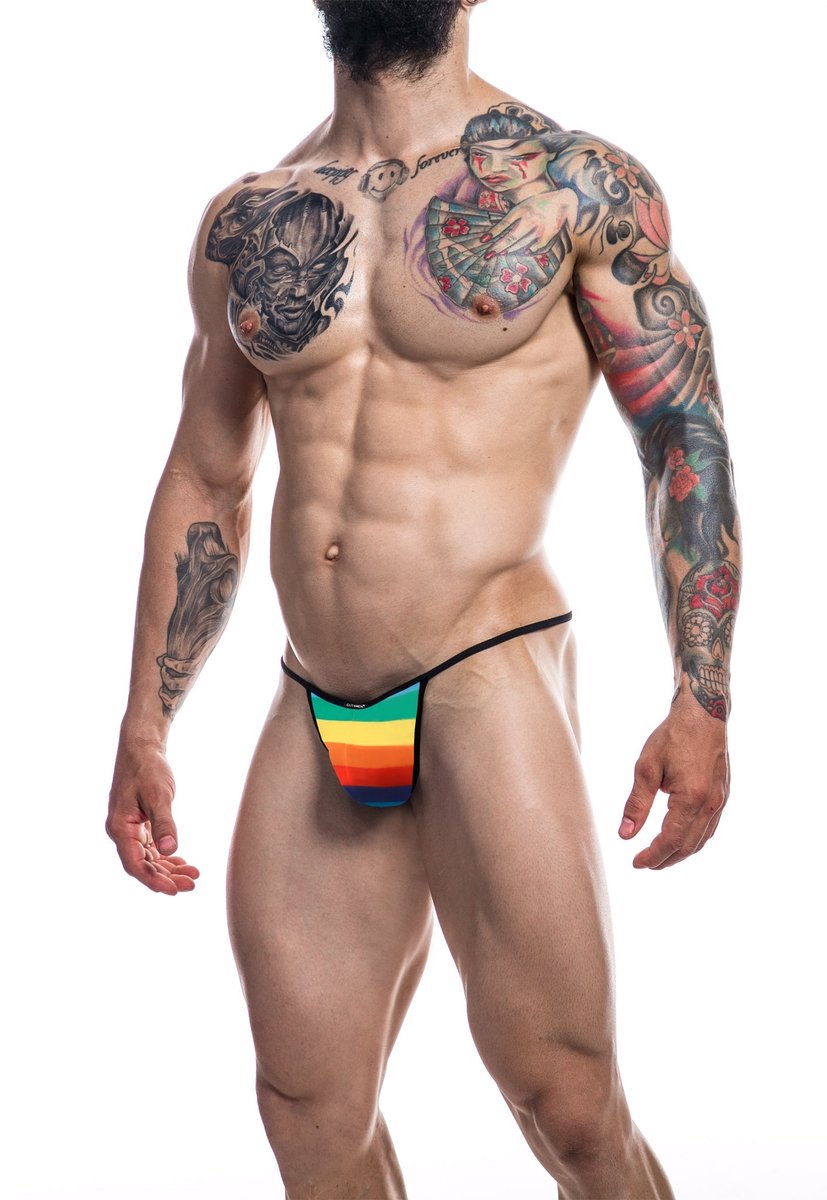 Cut4Men - Briefkini Herenstring - Rainbow M
