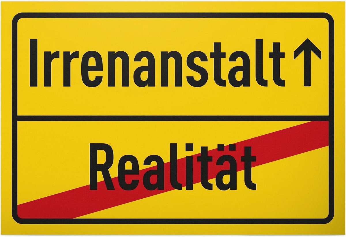 Irrenanstalt - bord kunststof 30 x 20 cm - spreukenbord verjaardagscadeau deurbordje grappige spreuk - cadeau party party decoratie kantoor cadeau-idee collega's vrienden